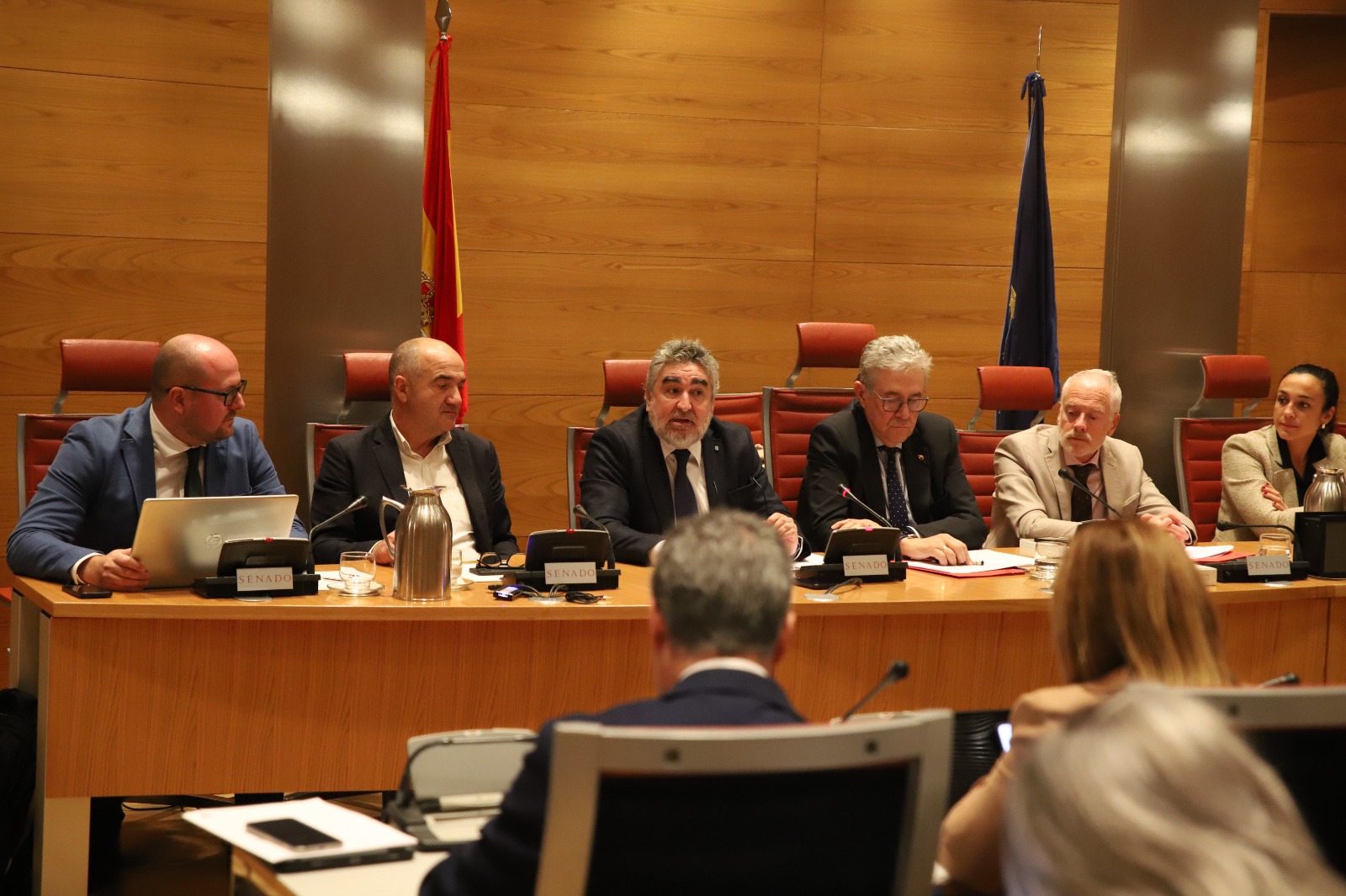 El presidente del CSD, José Manuel Rodríguez Uribes, durante su comparecencia en el Senado