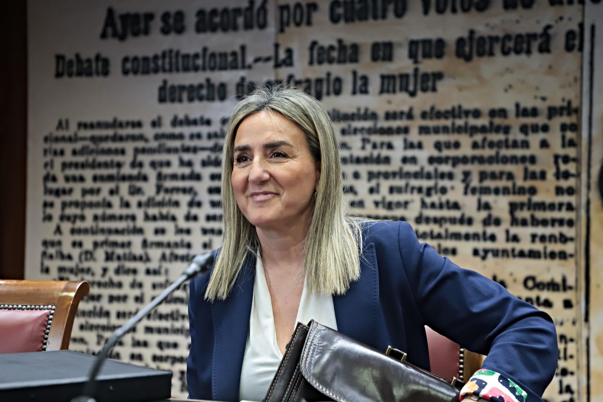 A ministra Milagros Tolón durante a súa comparecencia no Senado