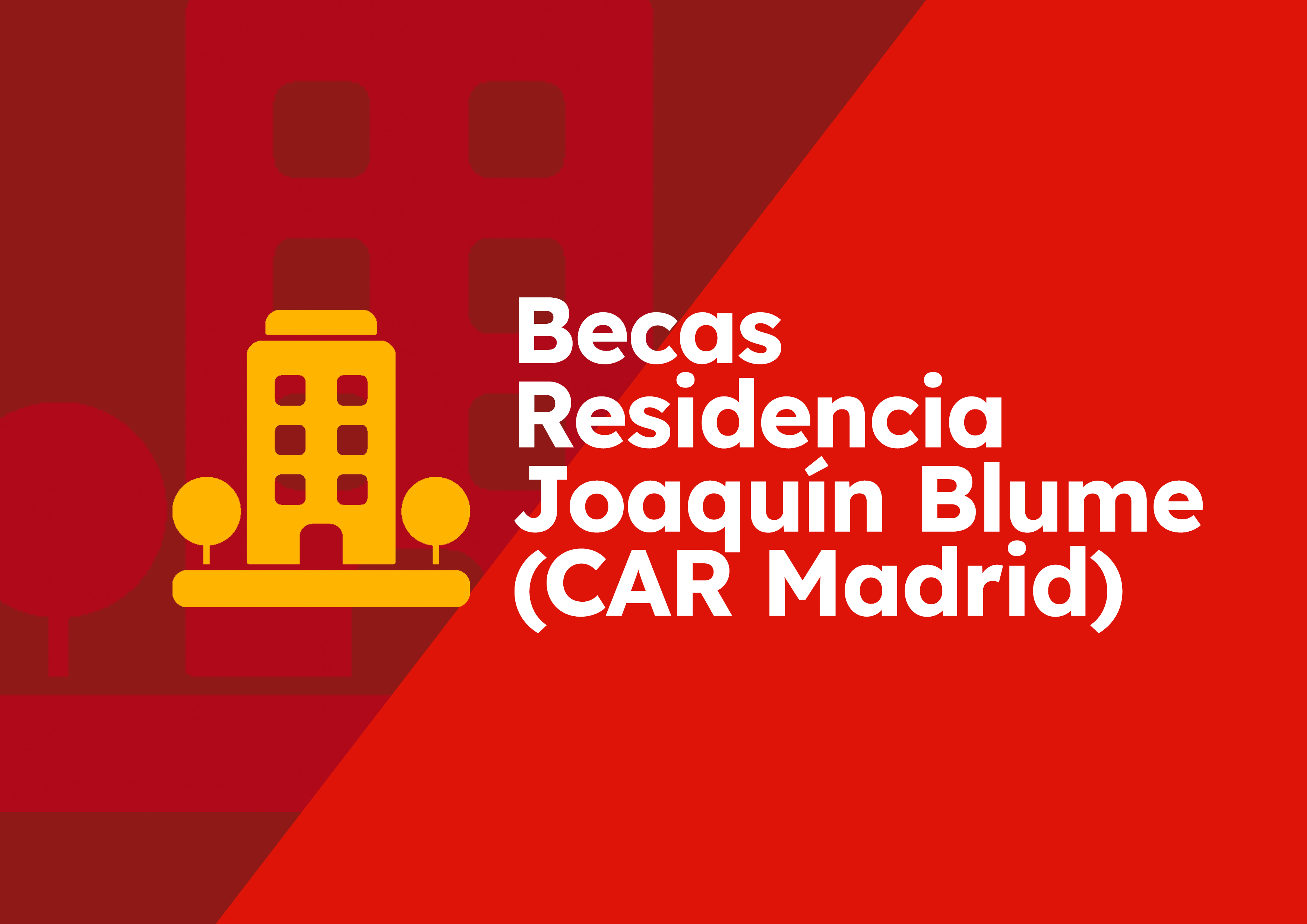 Enlace a la información convocatorias Becas Blume
