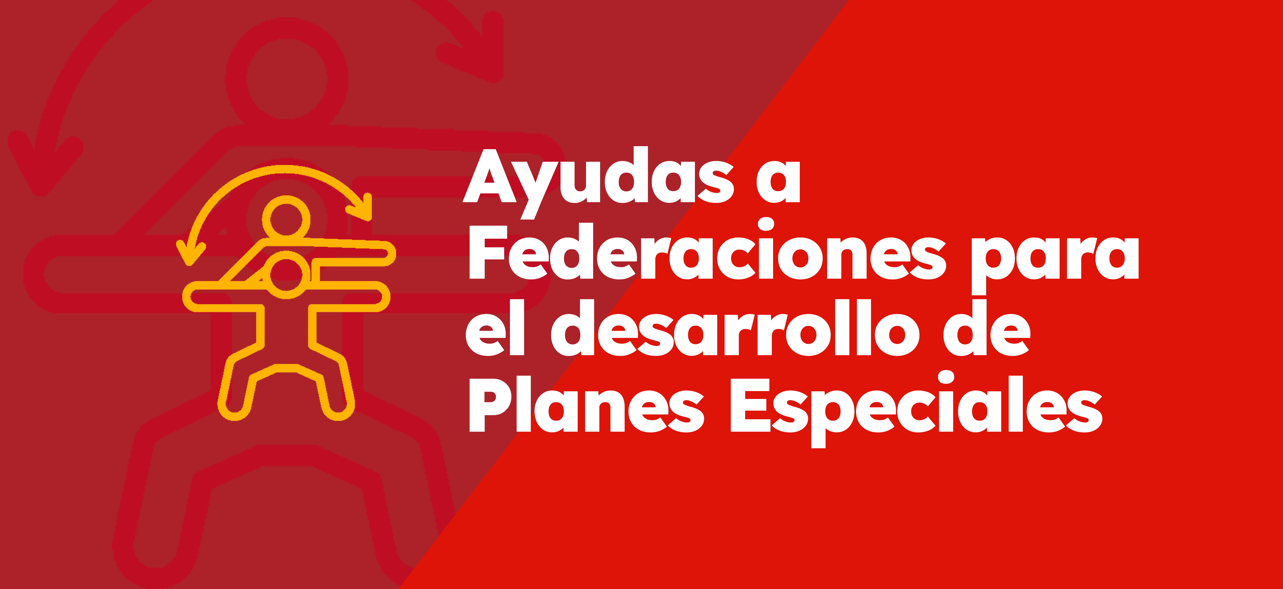 Ayudas a Federaciones Deportivas Españolas para el desarrollo de Planes Especiales