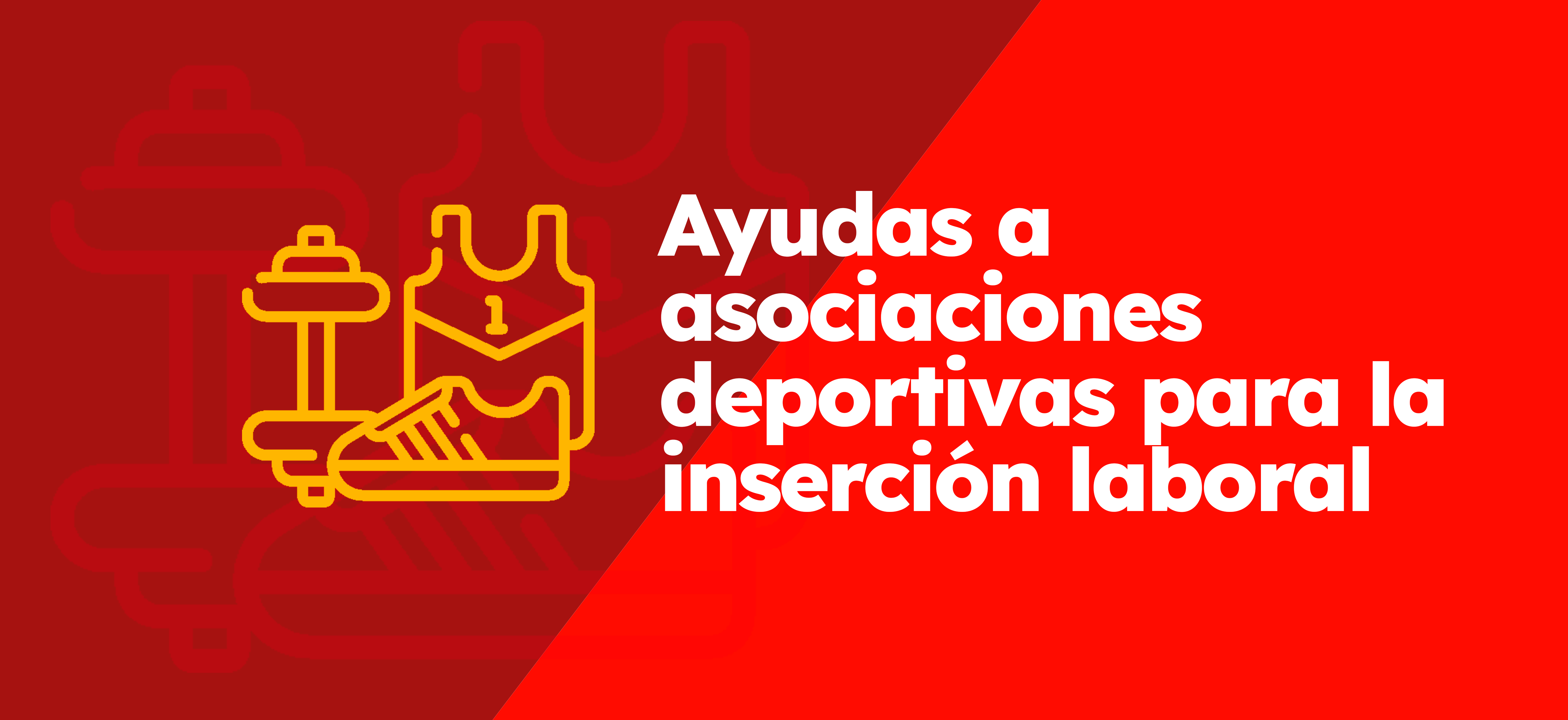 Ayudas a entidades deportivas para favorecer la inserción laboral de sus asociados