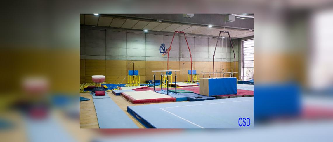 Sala de Gimnàstica artística masculina Centre d'Alt Rendiment del Consell Superior d'Esports, Madrid