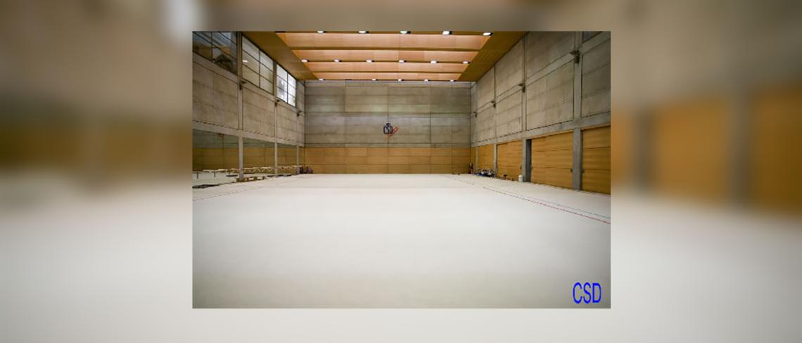 Sala de gimnàstica rítmica Centre d'Alt Rendiment del Consell Superior d'Esports, Madrid