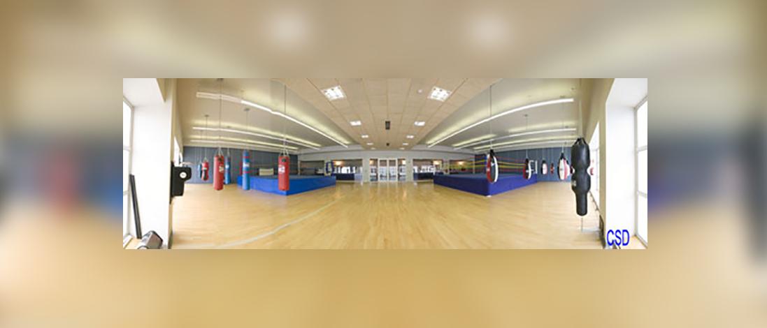 Sala de boxa Centre d'Alt Rendiment del Consell Superior d'Esports, Madrid