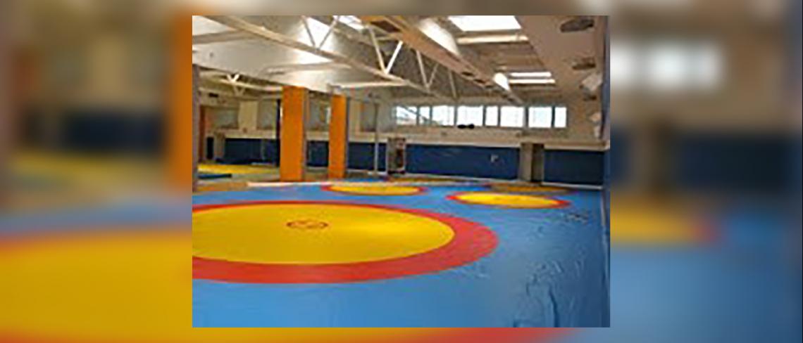 Judo of High Performance centre of Majorca's Cugat Vallés (Barcelona)