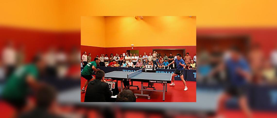 Image11 - Centre Especialitzat de Tecnificació Esportiva de Tennis de taula, Sant Sebastià dels Reis (Madrid)