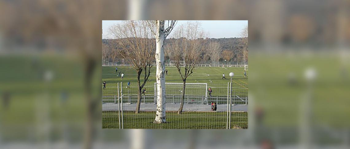 Image3 - Centre Especialitzat de Tecnificació Esportiva de Tennis de taula, Sant Sebastià dels Reis (Madrid)