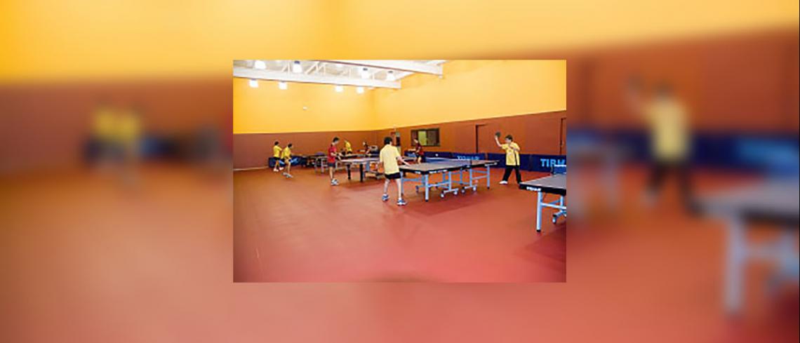 Image10 - Centre Especialitzat de Tecnificació Esportiva de Tennis de taula, Sant Sebastià dels Reis (Madrid)