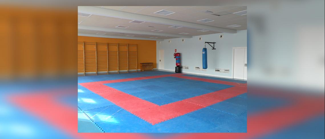 Sala Polivalent - Centre de Tecnificació Esportiva "Adarraga", Logronyo (La Rioja)