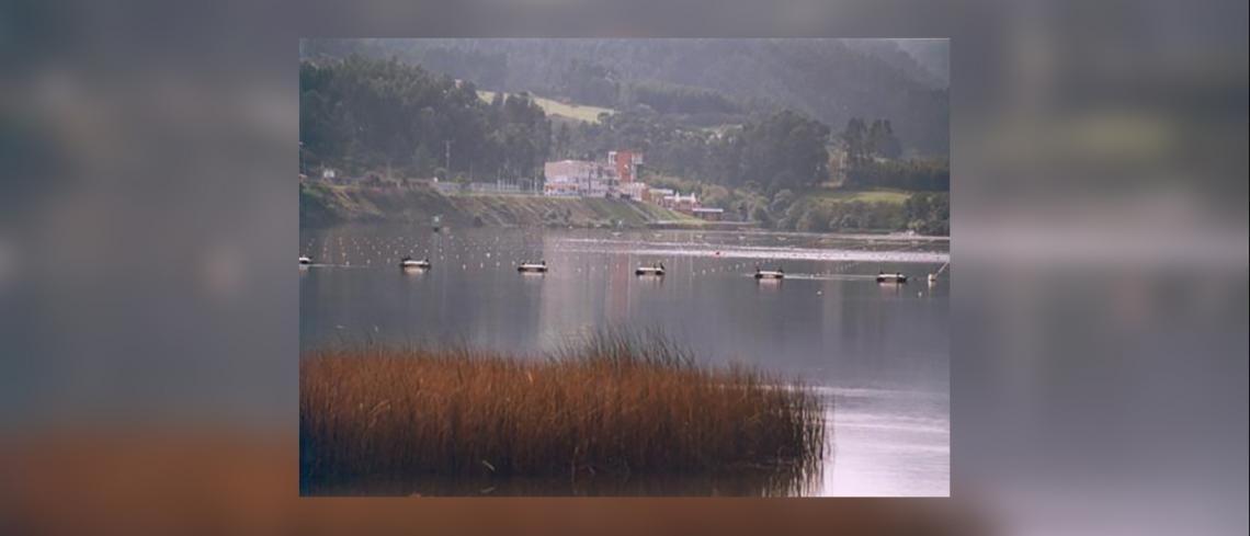 Campo de regatas y entrenamiento - Centro de Tecnificación Deportiva de Trasona (Asturias)
