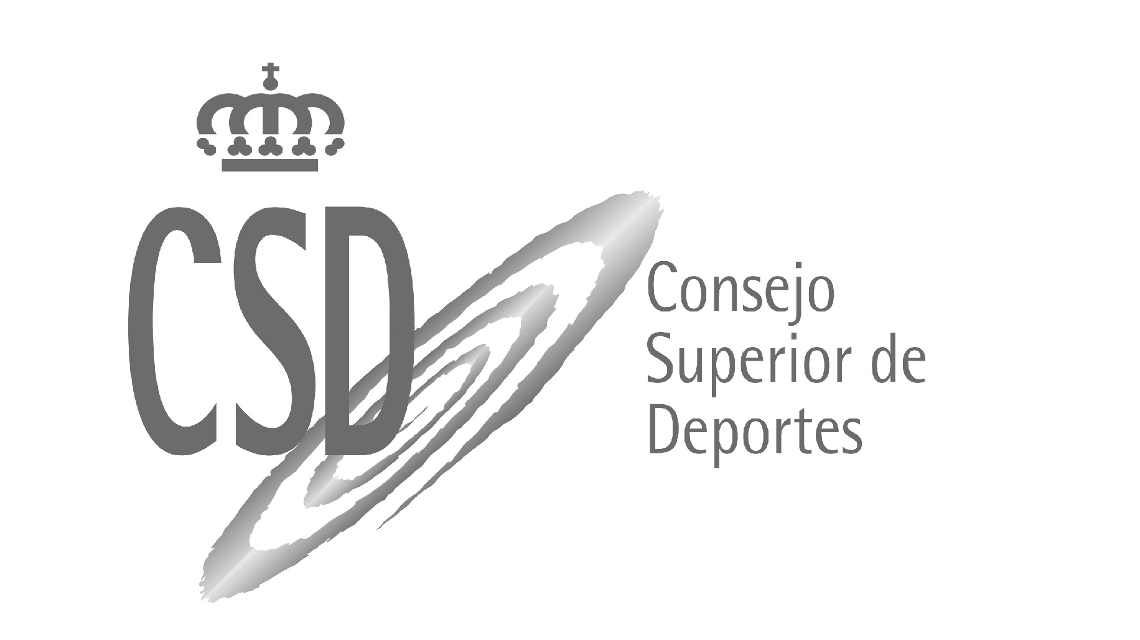 Gray CSD focused Logo