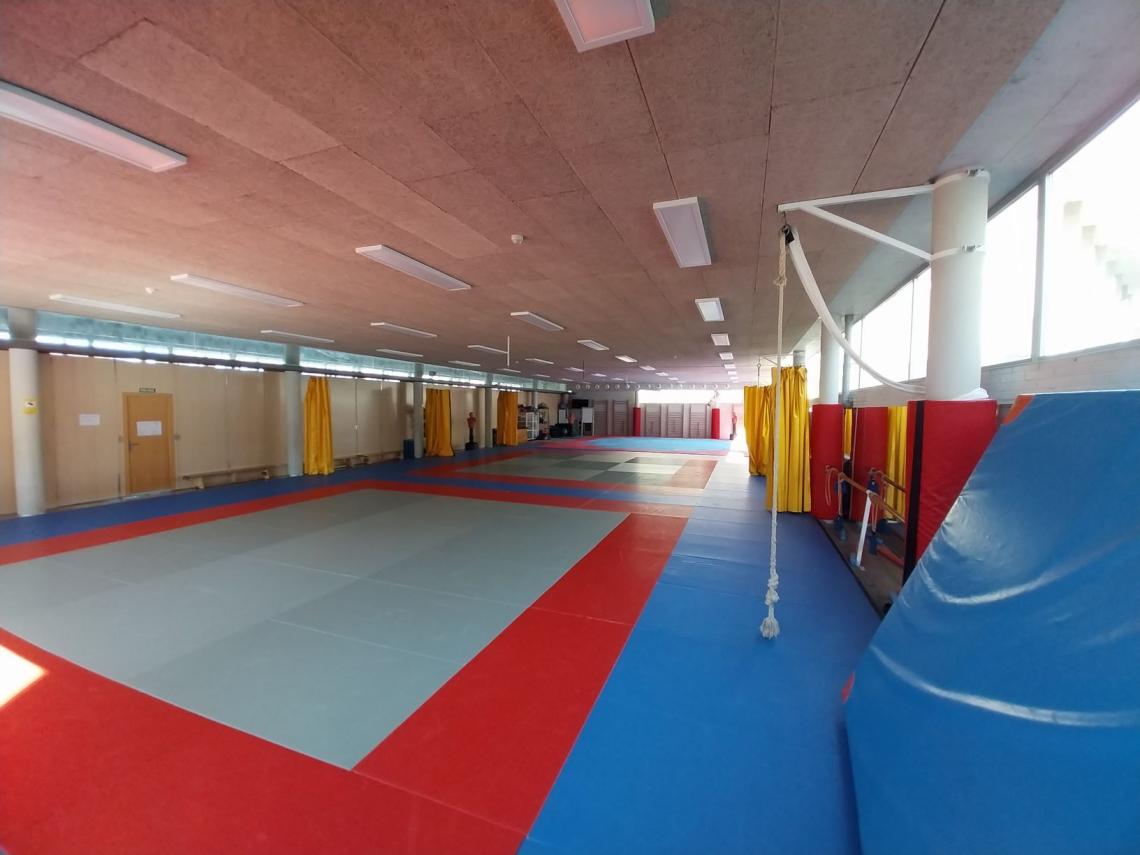 Imagen del tatami del CTD Larrabide