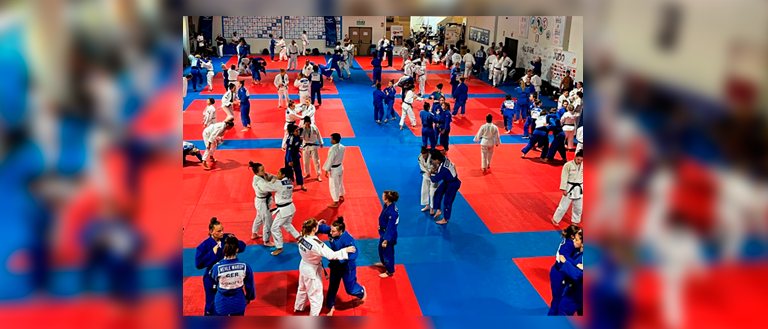 Centro Especializado de Alto Rendemento de Judo en Valencia