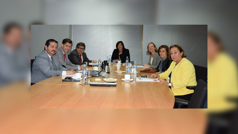 María José Regna presideix el Consell Rector de l'AEPSAD
